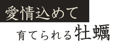 愛情込めて