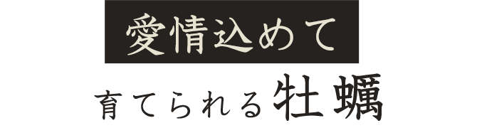 愛情込めて